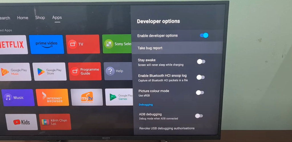 How to Display and Control Your Smart TV